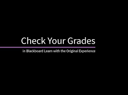 check your grades in blackboard learn