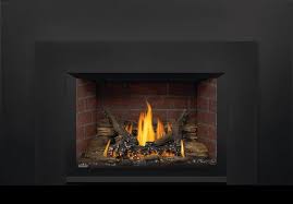 Direct Vent Gas Fireplace Insert