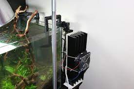 Inexpensive way to chill a small 10g aquarium. Diy Chiller Aquarium Chiller Fish Tank Terrarium Aquascape