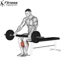 how to do barbell seated calf raise