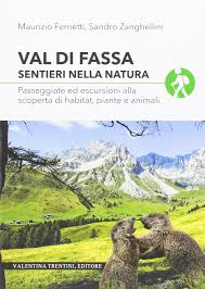 Val di fassa lies at the foot of the unique dolomite mountains, which are a unesco world heritage site due to their incomparable beauty. Val Di Fassa Sentieri Nella Natura 9788887980981 Amazon Com Books