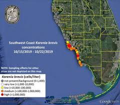 Florida South West Coast Map