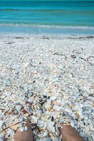 Looking for hotels in sanibel captiva island? Why The World S Best Shelling Is At The Beaches Of Fort Myers Sanibel La Jolla Mom