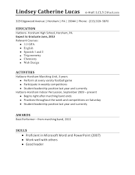 A short paragraph summarizing your skills.; Resume For First Job Template All Resumes 187 First Time Resume For Resume Template For First Job First Job Resume Job Resume Job Resume Format