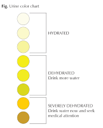 Hydration Chart The Hughston Clinic