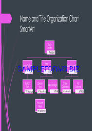 Small Business Organizational Chart Black Pink Widescreen