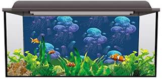 T&H Home Aquarium Décor Backgrounds - Jellyfish Fish Tank Background  Aquarium Sticker Wallpaper Decoration Picture PVC Adhesive Poster, 36.4" W  x 20.4" H : Amazon.ca: Pet Supplies gambar png