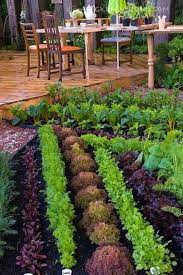 Vertical Vegetable Gardens