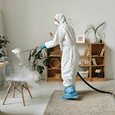 apartment steam cleaning o cleaner