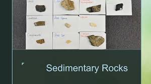 Sedimentary Rocks And How To Identify