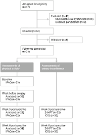 Flowchart Of Patients Through The Study Period Ipaq