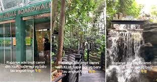 this hidden jungle boardwalk in klia