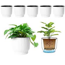 Taller plants like laura and aggy add a bit of height; Buy T4u 6 Inch Self Watering Pots For Indoor Plants 6 Pack White Plastic Flower Pots For All House Plants Flowers African Violets Online In Indonesia B07pyj9qyt