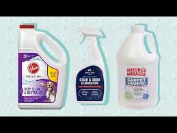 top 5 best carpet stain removers 2022