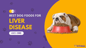 12 best dog foods for liver disease