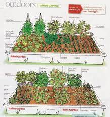 7 best vegtable garden layout ideas