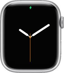 Status Icons And Symbols On Apple Watch