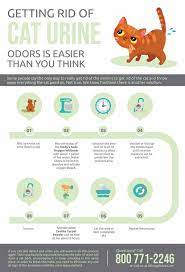 getting rid of cat urine odors is