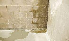 Water In Basement After Rain Causes