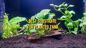 best substrate for planted tank