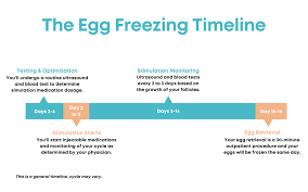 egg freezing process