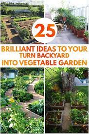 turn backyard into vegetable garden