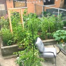 designing your vegetable garden