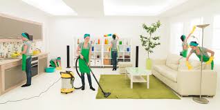 House Cleaning Organizing Services Dclutterbug Springfield Il