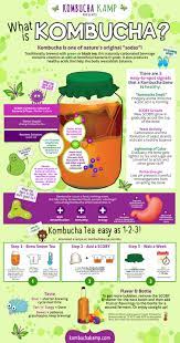 diy kombucha kombucha diy infographic