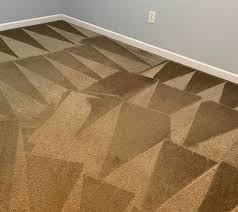 professional carpet cleaning stripes