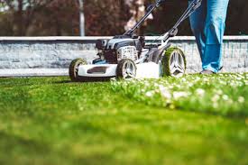 Browsing Mowing Lawn Care Melbourne Classifieds Herald Sun