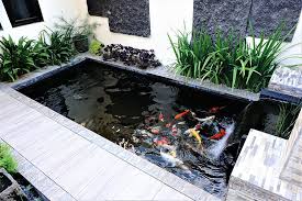 21 Backyard Pond Ideas For Inspiration