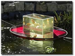 Floating Fish Observation Pool For The