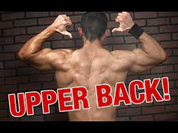 upper back and trap thickness 2 key