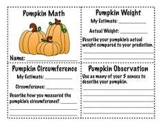Pumpkin Measuring How Many Pumpkins Tall Are You