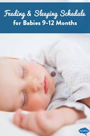 Schedule Feeding And Sleeping For Babies At 9 Months To 12
