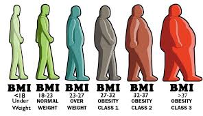 Bmi Body Mass Index Max Superspecialty Ortho Clinic