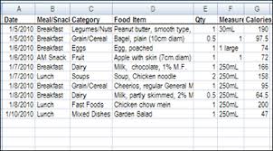Daily Calorie Counter Spreadsheet Perfect Spreadsheet Templates