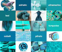 Choose from contactless same day delivery, drive up and more. Exploring Turquoise Teal University Art