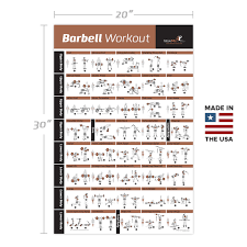 Barbell Workout Exercise Poster Laminated Home Gym Weight