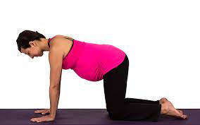 It relaxes your mind and helps in better emotional control. Cat Pose Ideal For Pregnant Women Practicing Prenatal Yoga The Dolphin Method