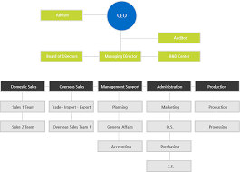Organization Chart Visible Light Carbon Phototherapy