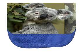koala bear cosmetic pouch