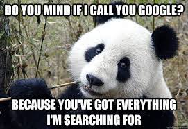do you mind if i call you google? because you've got everything i'm searching for - Pick-up line Panda - quickmeme