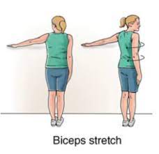 biceps muscle stretching health