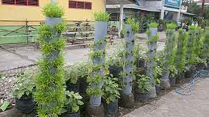 Coba buat yuk, kebun sayur mini di pekarangan rumahmu! Agromedia Membangun Kebun Sayuran Mini Di Teras Rumah Menggunakan Vertikultur Agromedia