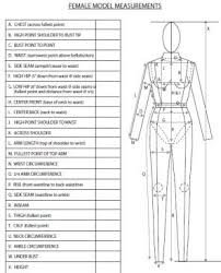 Measurements Of Body Fitness Models Fashion Merchandising