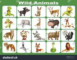 3d Rendered Illustration Wild Animal Chart Stock