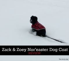 Zack Zoey Noreaster Dog Coat Review The Savvy Age