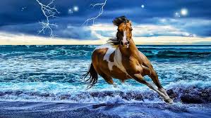 hd wallpaper horse running beach
